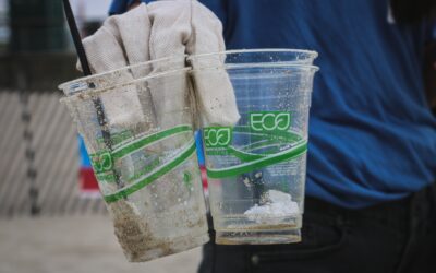 Greenwashing: il significato che questa parola assume nel contesto europeo, oggi.