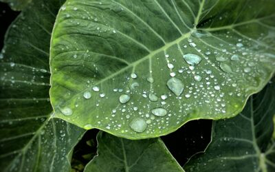 PFAS e ABBIGLIAMENTO OUTDOOR: arriva un importante aggiornamento normativo che riguarda (per ora) lo Stato di New York