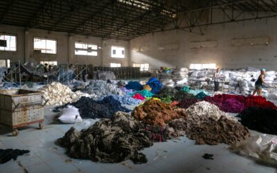 Un nuovo Approccio alla Produzione di tessili: l’EPR